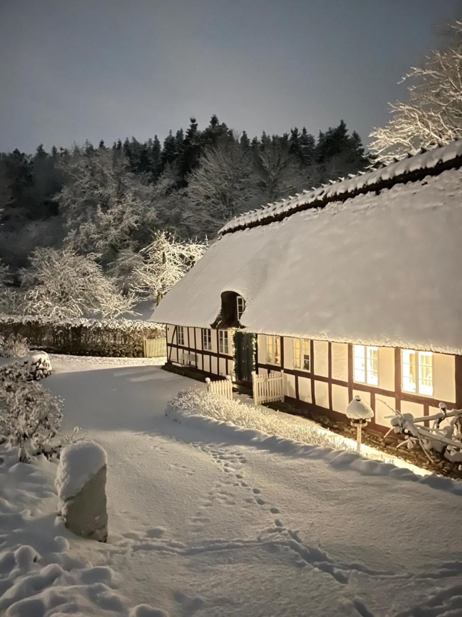 Lillemollens Bed & Breakfast Orbaek  Kültér fotó