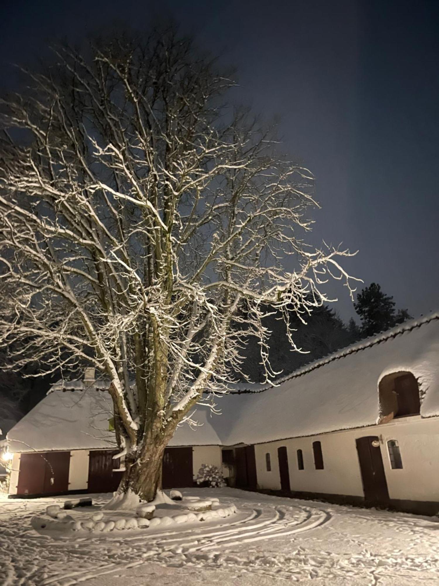 Lillemollens Bed & Breakfast Orbaek  Kültér fotó