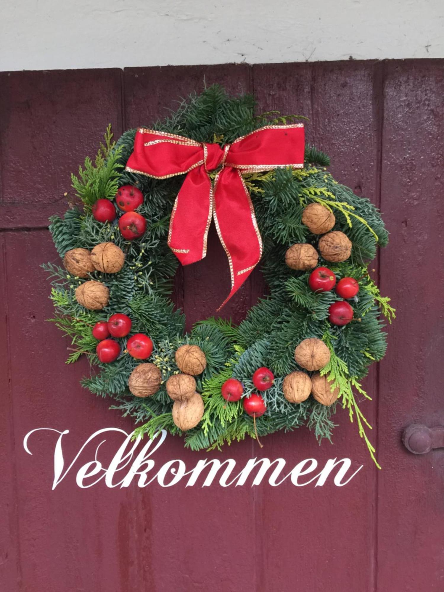 Lillemollens Bed & Breakfast Orbaek  Kültér fotó